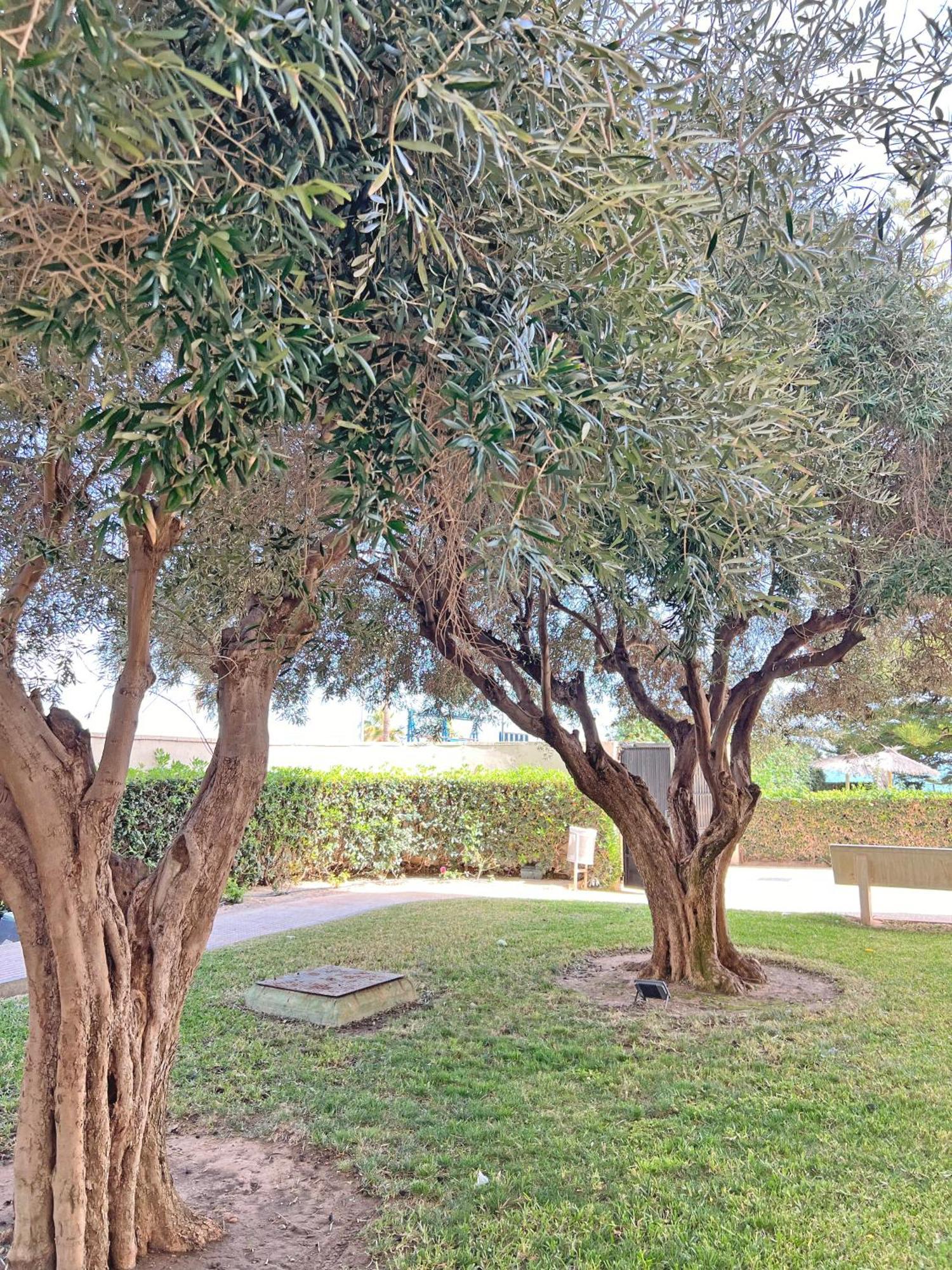 شقة Oasis Frente Al Mar. Parking Gratis إل كامبيلو المظهر الخارجي الصورة