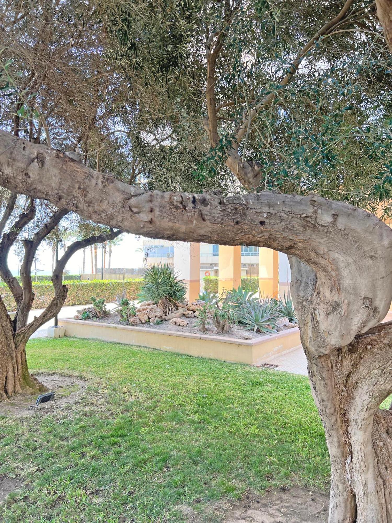 شقة Oasis Frente Al Mar. Parking Gratis إل كامبيلو المظهر الخارجي الصورة